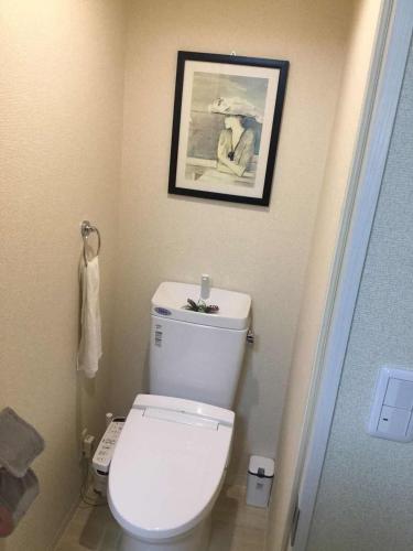uma casa de banho com um WC com uma fotografia na parede em 駅近-JR小岩駅まで徒歩3分-Leo小岩 101 em Tóquio