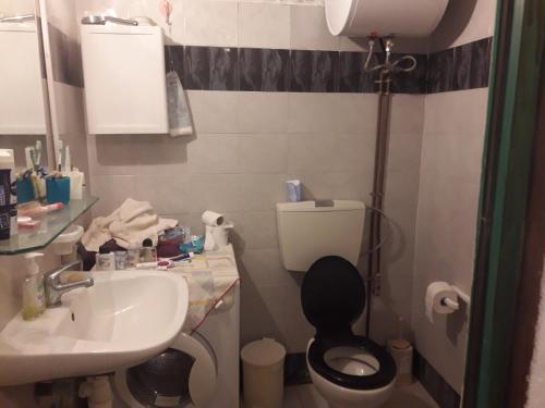 a small bathroom with a toilet and a sink at VLASSIS APTS -ΜΕΛΙΔΟΝΙ-ΔΙΑΜΕΡΙΣΜΑ ΒΑΣΙΛΙΚΗ in Melidhónion