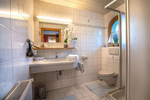 a bathroom with a sink and a toilet at Haus am Waldrand in Leutasch