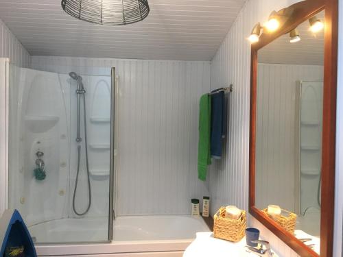 une salle de bain avec une douche, un lavabo et un miroir dans l'établissement La Casa Cantarana, au Teich