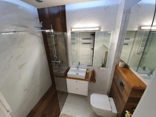 łazienka z umywalką, toaletą i lustrem w obiekcie Apartament Old Town Teczowa we Wrocławiu