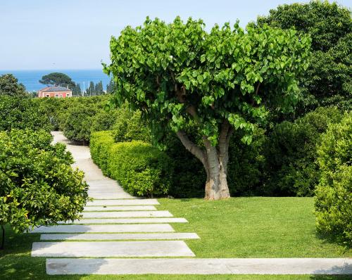 a garden with a tree and a stone path at Zash Country Boutique hotel & SPA in Giarre