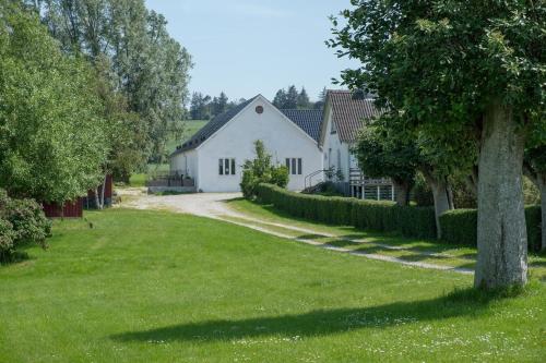 a white house with a tree in the yard at Molshøjgård in Knebel