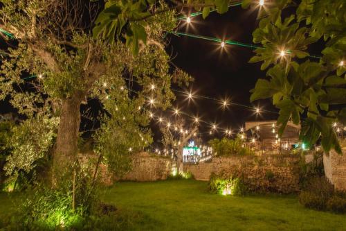 Fotografie z fotogalerie ubytování Agriturismo Li Calizzi Arte e Natura v destinaci Novoli