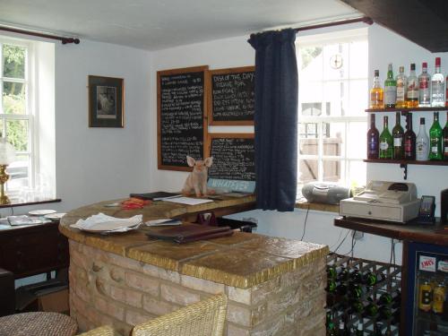 a bar with a cat sitting on top of it at The Old Forge Seafood Restaurant and Bed and Breakfast in Thursford