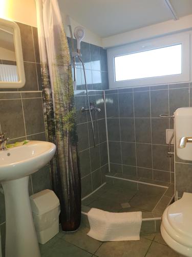 a bathroom with a shower and a toilet and a sink at Cabana Fulg De Nea Predeal in Predeal