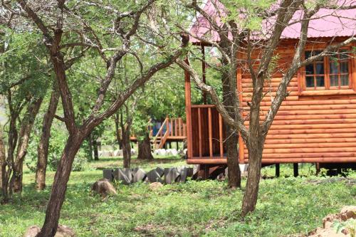 eine Holzhütte inmitten von Bäumen in der Unterkunft Igula lodge in Mkuze
