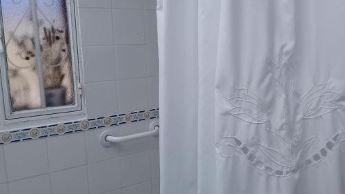 a bathroom with a shower curtain and a mirror at Cabaña El Cardón,casita en el campo quebradeño in Humahuaca