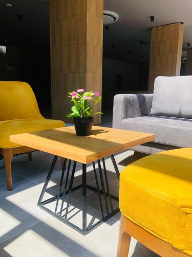 a coffee table with a potted plant on top of it at Avenue Hotel Deluxe in Burgas City