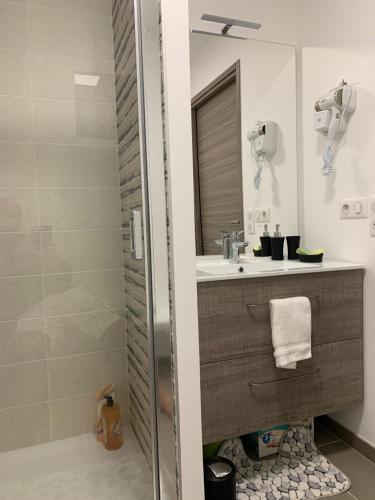 uma casa de banho com um chuveiro, um lavatório e um espelho. em RAYAN 4 étoiles - Proche Lac & Vieille Ville, Garage Privé, Secteur recherché em Annecy