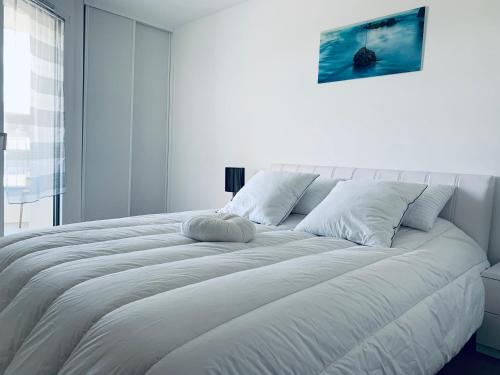 RAYAN 4 étoiles - Proche Lac & Vieille Ville, Garage Privé, Secteur recherché