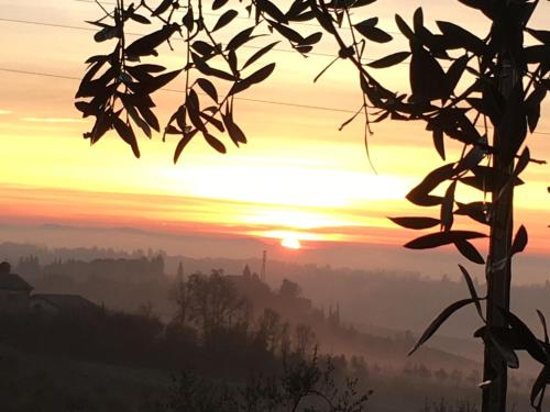 a sunset in the hills with a tree in the foreground at Panorama di Siena in Siena