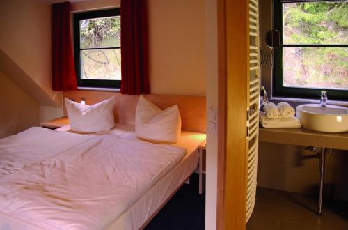 a bedroom with a bed and a sink and two windows at Waldhotel am Aschergraben in Geising