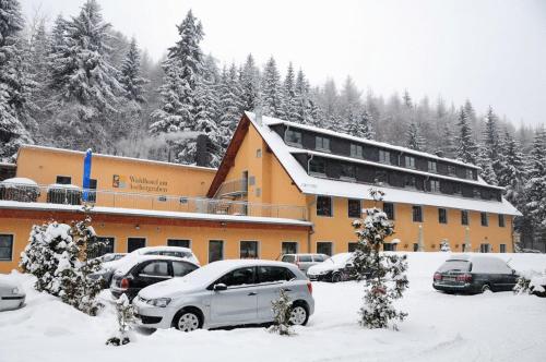 Gallery image of Waldhotel am Aschergraben in Geising