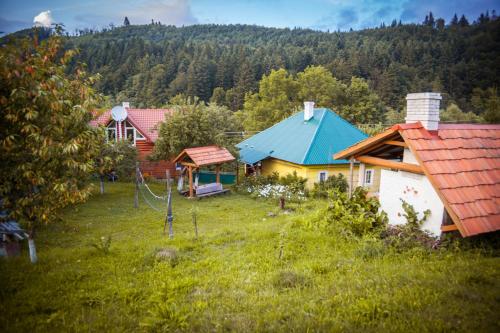 a group of houses in a field with trees at Садиба під Гострою in Zhdenievo