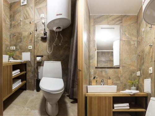 a bathroom with a toilet and a sink at Hotel Sofia in Velikiy Novgorod