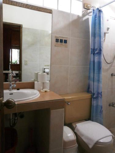a bathroom with a sink and a toilet and a shower at Nigi Nigi Nu Noos 'e' Nu Nu Noos in Boracay