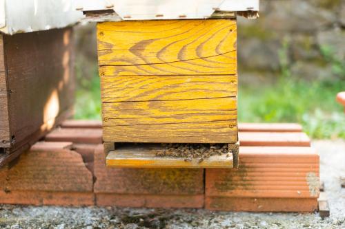 a close up of a beehive on a stack of bricks at Honey Farm House in Virpazar