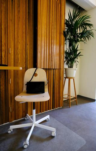a white chair sitting in a room with a plant at Pink Flamingo Boutique Hostel in The Hague