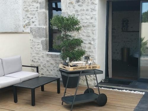 une table avec une plante à côté d'un canapé dans l'établissement LOVE Suites & SPA "Le Chai" avec lit rond, à Médis