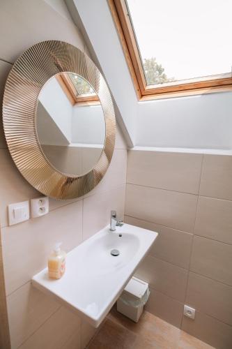 un baño con lavabo y espejo en Vinný sklep André, en Chvalovice