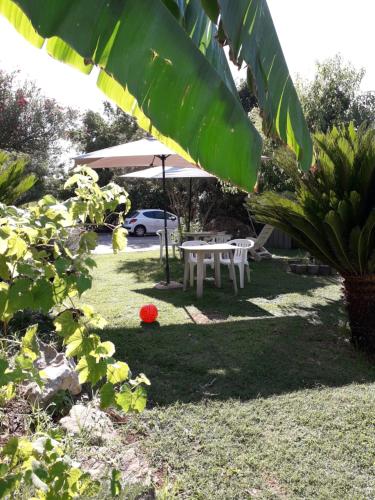a table and an umbrella in a yard at casa Marilena in Tivoli