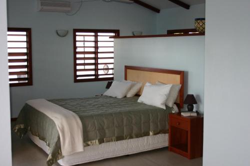 a bedroom with a bed and two windows at Bularangi Villa, Fiji in Rakiraki