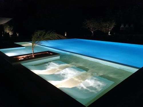 a swimming pool at night with a plant in it at PÉROLA D'ÓBIDOS t2 in Óbidos