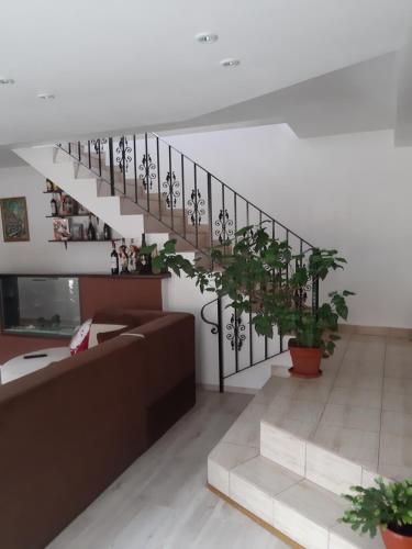 a living room with a staircase with potted plants at Casa Izbuc in Izbuc