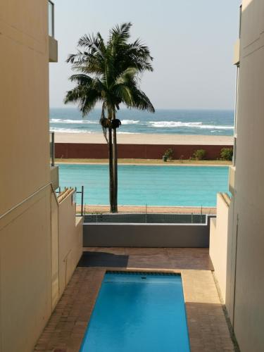 a view of a swimming pool with a palm tree and the ocean at Boulevard 501 in Margate