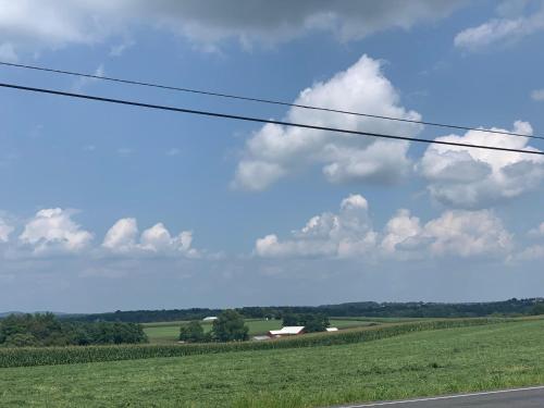 a view of a field from a car window at Mt. Vernon Motel in Manheim