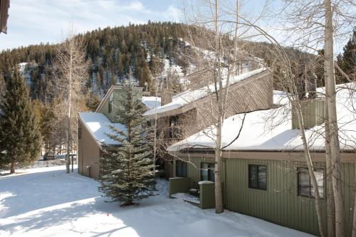 a house in the snow with a mountain at The Forest Neighborhood by Keystone Resort in Keystone