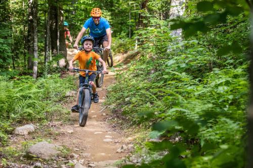 
a man riding a bike down a trail in the woods at Sugarloaf in Carrabassett
