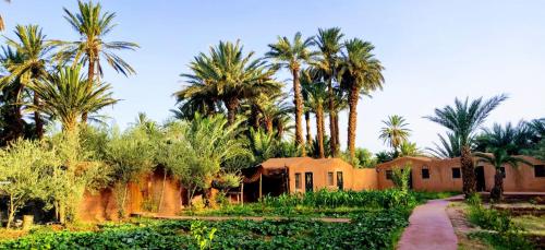 a resort with palm trees and a dirt road at Bivouac Lot Of Stars in Ouarzazate
