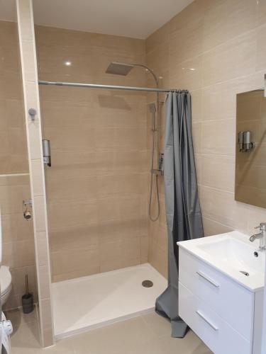 une salle de bain avec douche et lavabo dans l'établissement Suite Boudet 16, à Reims