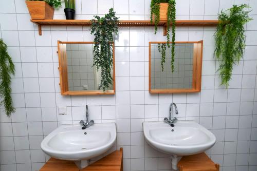 two sinks in a bathroom with mirrors and plants at Pink Flamingo Boutique Hostel in The Hague