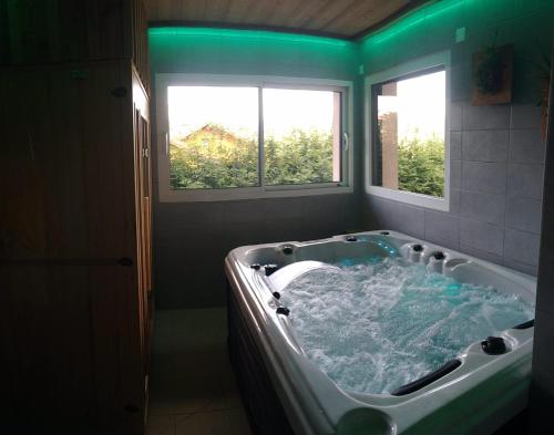 a bathroom with a large bath tub with two windows at les charmes du lac Sauna et Spa in Gérardmer