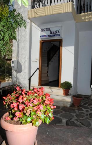 a pot of flowers sitting in front of a hotel room at Hotel Rena in Agios Kirykos