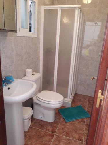 a bathroom with a toilet and a sink and a shower at El patio de Villa Pancho in Chipiona