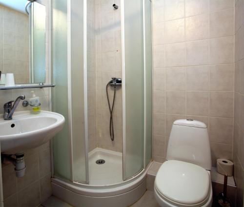 a bathroom with a shower and a toilet and a sink at Hotel Dobele in Dobele