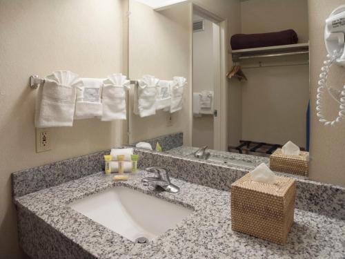 Inn at the Convention Center tesisinde bir banyo