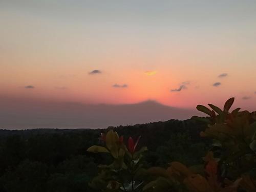 a sunset with a mountain in the background at Rumah Pohon in Nusa Penida