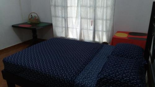 a bedroom with a blue bed with a window at Hostal y Camping Villa Mercedes in Tizimín