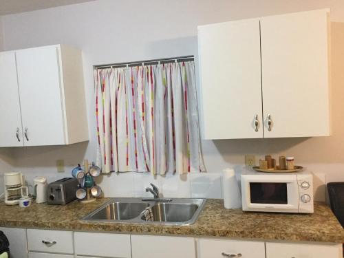 uma cozinha com um lavatório e um micro-ondas em Courage em Nassau