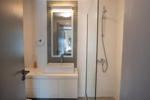 La salle de bains est pourvue d'un lavabo et d'un miroir. dans l'établissement Torre Francia, à Punta del Este