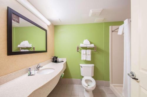 a green bathroom with a toilet and a sink at Sleep Inn & Suites in Dover