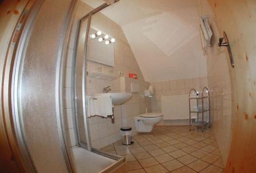 a bathroom with a shower and a toilet and a sink at Landgasthof im Ehegrund in Sugenheim