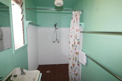 a bathroom with a shower curtain and a sink at Signal Cottage in Cowan Cowan