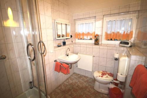 a bathroom with a toilet and a sink and a shower at Ferienwohnungen Kießler in Winterberg