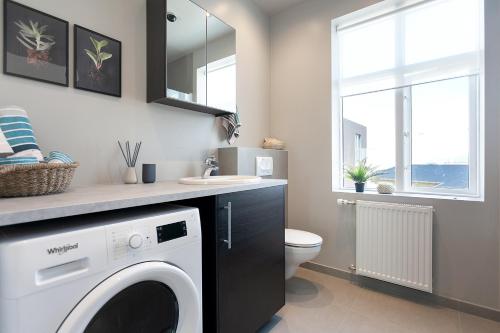 ein Badezimmer mit einer Waschmaschine und einem WC in der Unterkunft Vesturgata in Reykjavík
